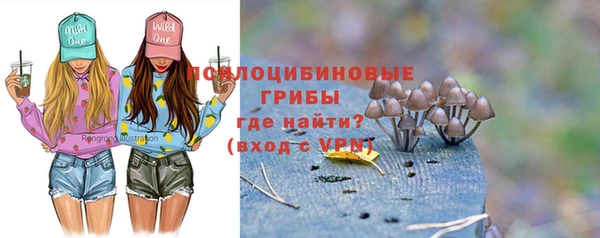 прущие грибы Алексеевка