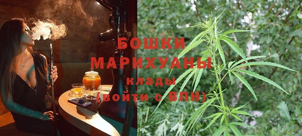 ГАЛЛЮЦИНОГЕННЫЕ ГРИБЫ Сосновый Бор