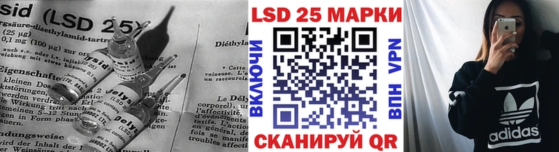 дарк нет официальный сайт наркота Каневская LSD-25 экстази ecstasy